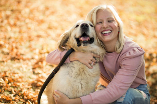istock Dog is our best friend forever. 1326038173