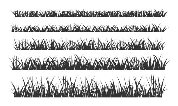 ilustrações de stock, clip art, desenhos animados e ícones de green grassland lawn field border flat style design vector illustration set - national grassland