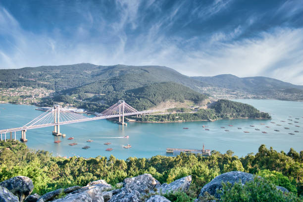 view of rande cable-stayed bridge and punts for mussel breeding in the vigo estuary, spain - cable stayed bridge imagens e fotografias de stock