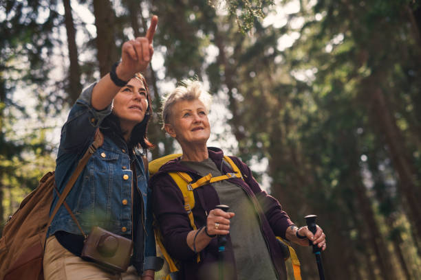 istock Senior women hikers outdoors walking in forest in nature, talking. 1326039909