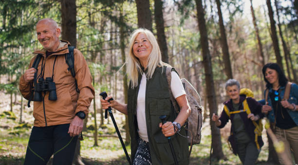 istock Group of seniors hikers outdoors in forest in nature, walking. 1326039948
