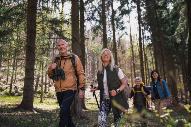 istock Group of seniors hikers outdoors in forest in nature, walking. 1326039976