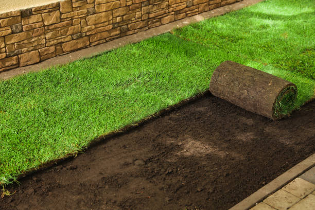 Laying grass sods at backyard. Home landscaping Laying grass sods at backyard. Home landscaping rolling field stock pictures, royalty-free photos & images