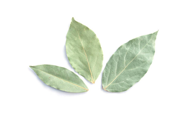 istock Three dried bay leaves or laurel isolated on white 1326043162