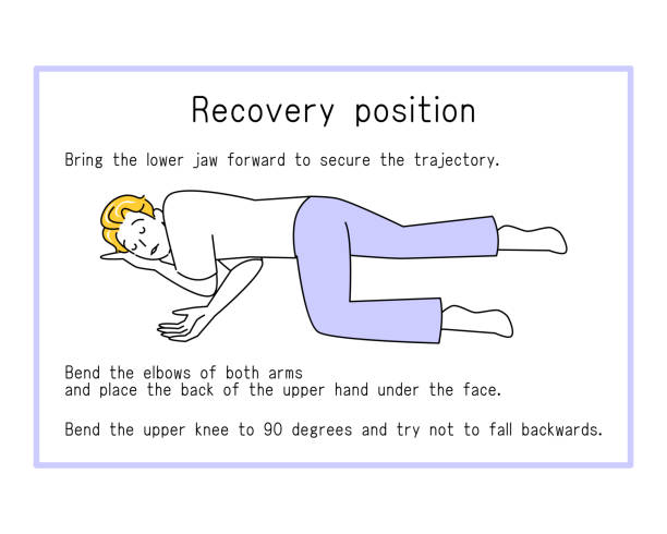English version how to recover position Simple illustration vector English version. How to do the recovery position. Simple illustration. Vector. English version of the recovery position simple illustration vector. How to do the recovery position. Simple illustration. Vector. faint stock illustrations