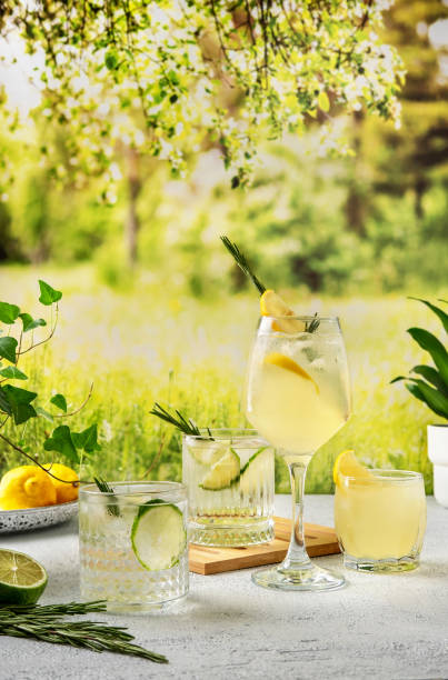 テーブルの上に4つのカラフルな夏のカクテル。ライムとレモン:様々な果物とハードセルツァーカクテル。夏のパーティーテーブルは、自家製の夏の飲み物と一緒に家の裏庭で屋外で。 - summer cocktail ストックフォトと画像