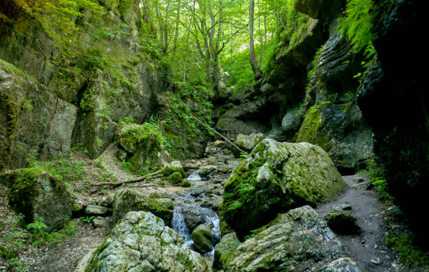 beautiful waterfall in the gorge