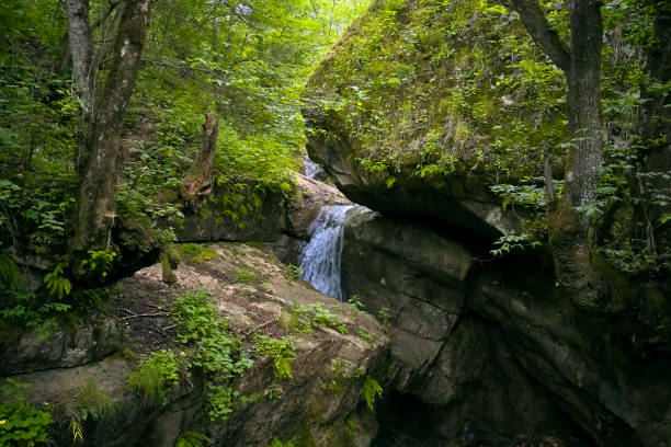 istock beautiful waterfall in the gorge 1326047678
