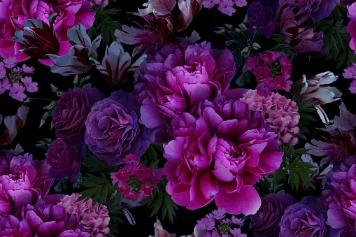 What are some flower wallpapers with a dark background?