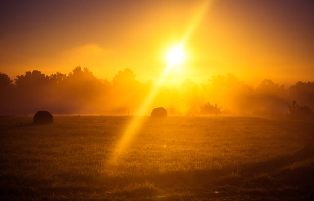 A sun disc shining through the mist during the summer sunrise. Summertime scenery of Northern Europe.