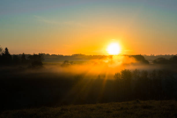 istock A beautiful scenery with sun rays shining through trees during a misty sunrise. 1326056232