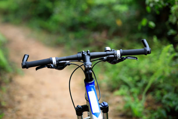 Mountain bike on summer forest trail
