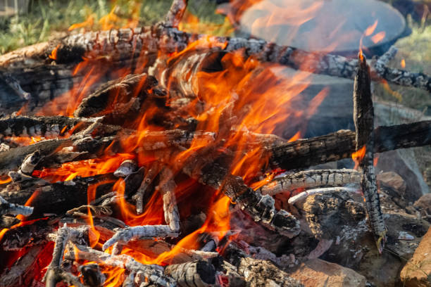 istock flames, campfire fire on picnic with cauldron in nature in summer 1326058328