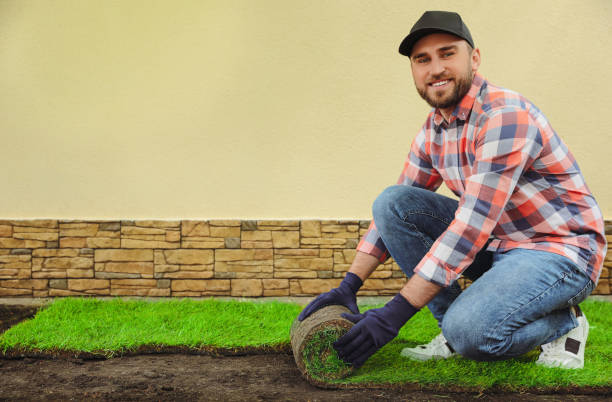 istock Young man laying grass sod on ground at backyard, space for text 1326059923