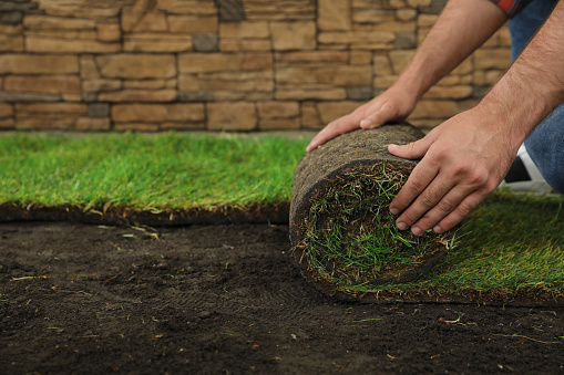 Young man laying grass sod on ground at backyard, closeup. Space for text