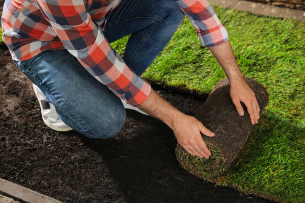istock Young man laying grass sod on ground at backyard, closeup 1326060680