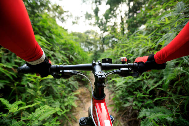 istock Riding mountain bike on summer rainforest trail 1326062114