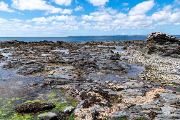 istock Rockpools at Stackhouse Cove, Cornwall in early summer 1326062505