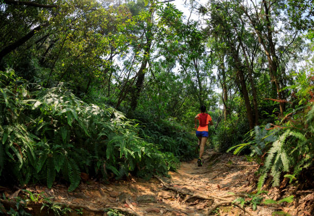 istock Woman trail runner running in tropical forest 1326063966