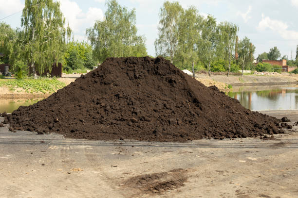 Land for planting plants. The ground is a pile. Land for flowerbeds. stock photo