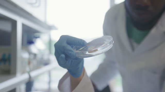 Male and female biotech scientist examining cultured meat in petri dish