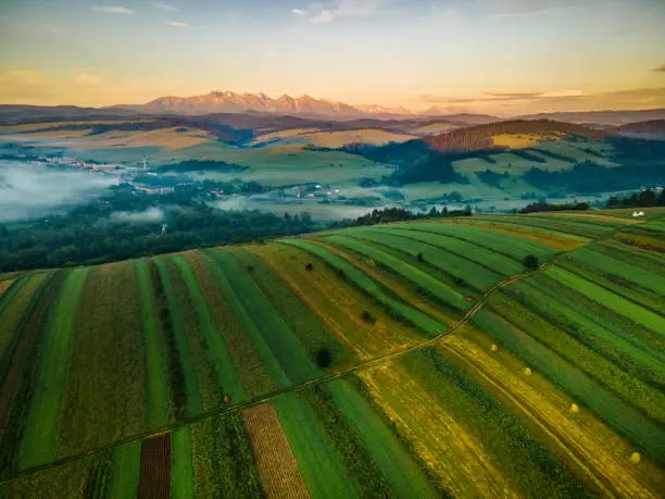 Aggriculture Field on Hill in Pieniny Park. Aerial Drone View.