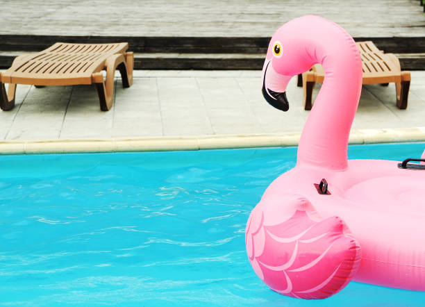 istock pink flamingo in swimming pool 1326070366
