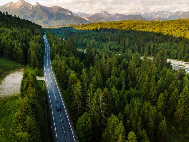 istock Road Trip Car Drive Trough Forest into Mountains Drone View 1326071870