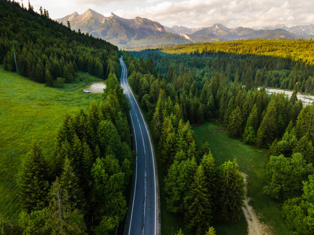 istock Road in Forest into Wilderness and Mountains Aerial Drone View 1326071933
