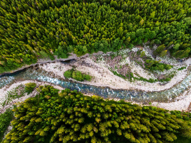 istock Top Down View at Bialka River in Green Forest, Poland 1326072879
