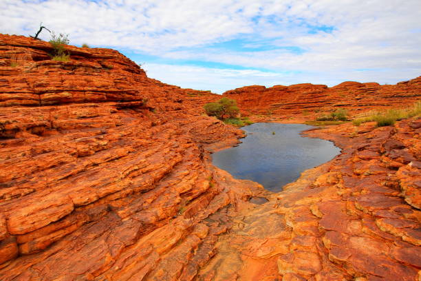 istock Kings Canyon in central Australia 1326073060