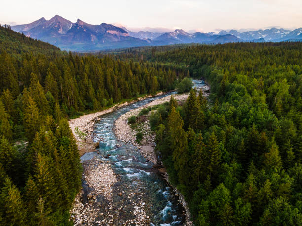 istock Bialka River in Tatra Mountains. Green Forest and Landscape. 1326073089