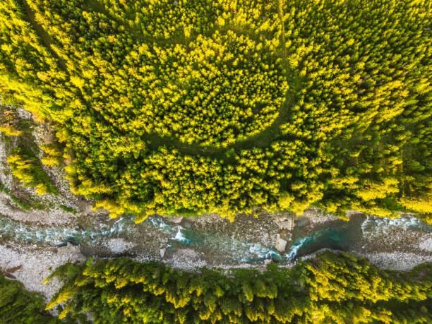 istock Bialka Mountains River Flowing Trough Forest. Drone Top Down View 1326074314