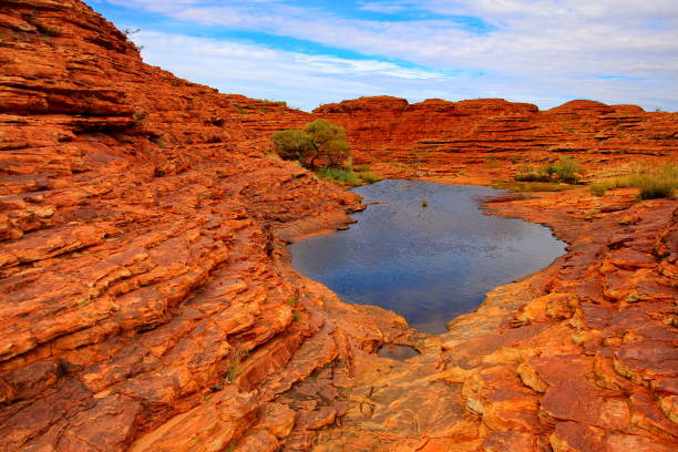 kings canyon dans le centre de l’australie - australia nature kings canyon northern territory photos et images de collection