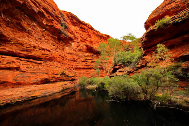 Red rocks of Watarrka National Park
