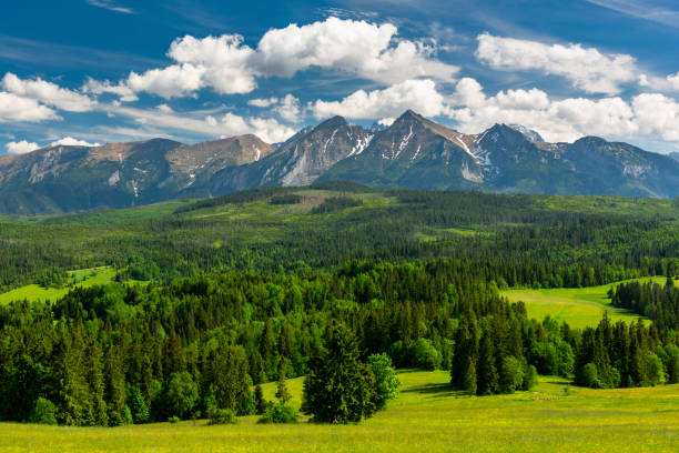 panoramic view over lapszanka valley and high tatras mountains in poland - poland rural scene scenics pasture imagens e fotografias de stock
