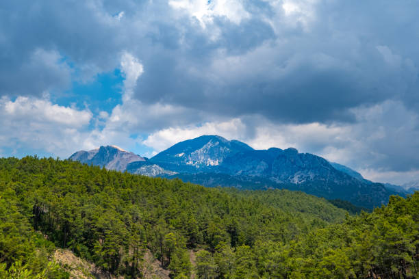 istock Forest and mountain landscape in cloudy weather 1326076452