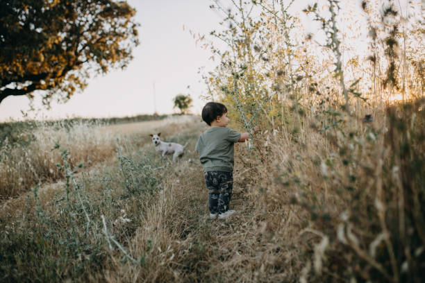 istock Rear View Of Boy With Dog On Field 1326077976