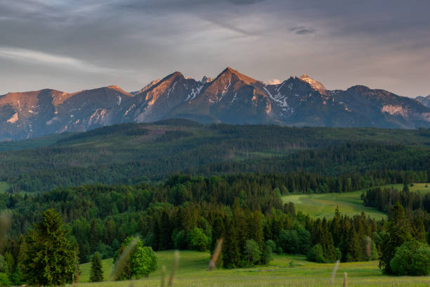 istock Summer Sunset in Lapszanka Valley in Poland 1326078559
