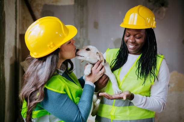 istock Happy architects are renovating the house 1326078660