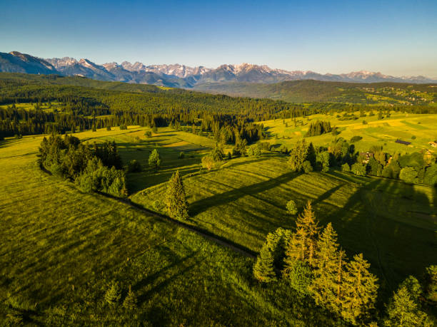 istock Green Meadows at Lapszankain Podhale, Poland 1326081218