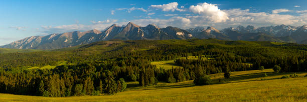 istock Panoramic Scenic Landscape at Lapszanka Valley in Tatra Mountains 1326082220