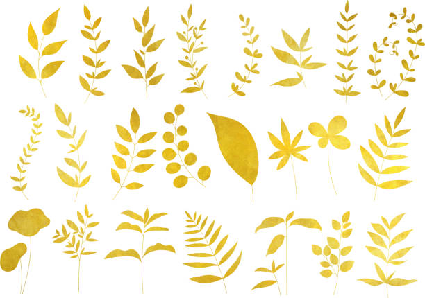 ilustraciones, imágenes clip art, dibujos animados e iconos de stock de pan de oro / conjunto de plantas - gilded