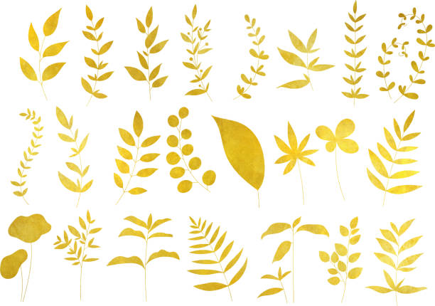 ilustrações, clipart, desenhos animados e ícones de folha de ouro / conjunto de plantas - gilded