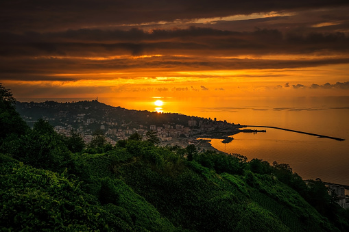 Rize, Turkey - June 12, 2021: Picturesque green fields planted with tea bushes and cityscape of Rize city, Turkey. Black Sea coast in Turkey. Tea plantations and agriculture in the Middle East. Popular tourist attraction, Asia Minor summer travel. Wonderful sunset over the city and fields