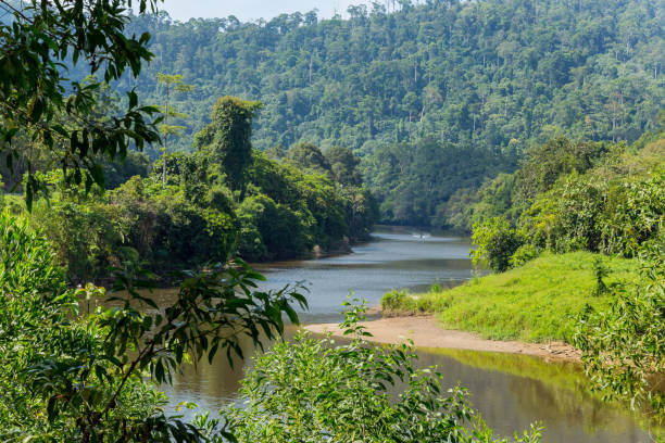istock Ulu Temburong National Park 1326090772