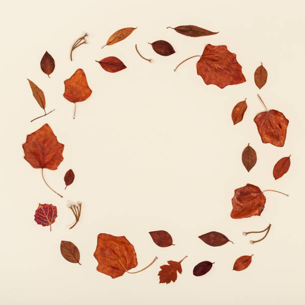 istock Autumn round frame from colorful autumn leaves on neutral beige background with copy space. Fall time concept. 1326094679