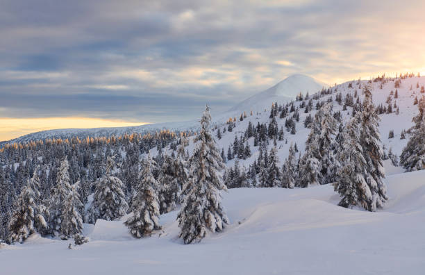 istock Cloudy sky. Magical winter landscape with snow covered trees at daytime 1326094928