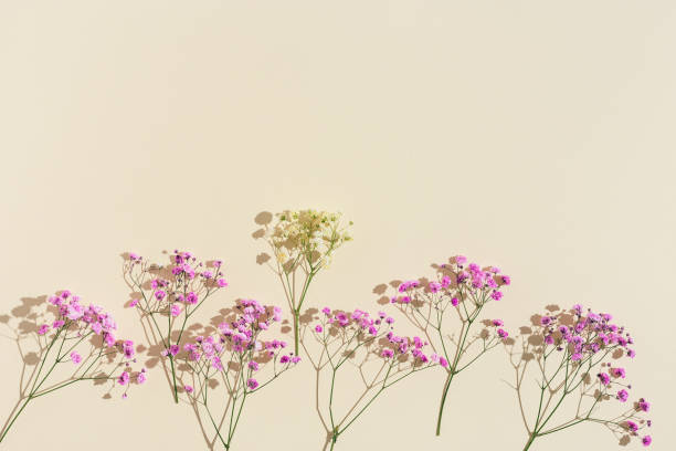 istock Small pink flowes on beige colored paper. Floral background. Minimal style aesthetic image with neutral color 1326095146