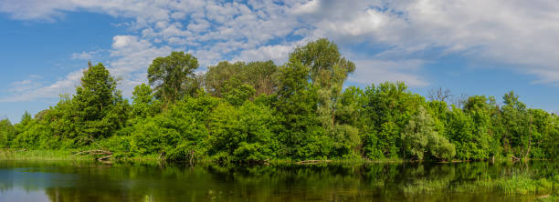istock Water in the river Psel and deciduous forest on the shore. 1326100307